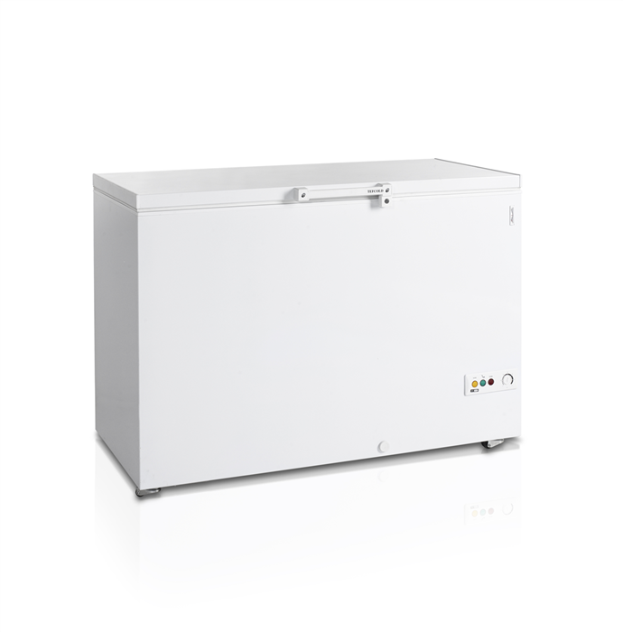 Фото - TEFCOLD FR405 I